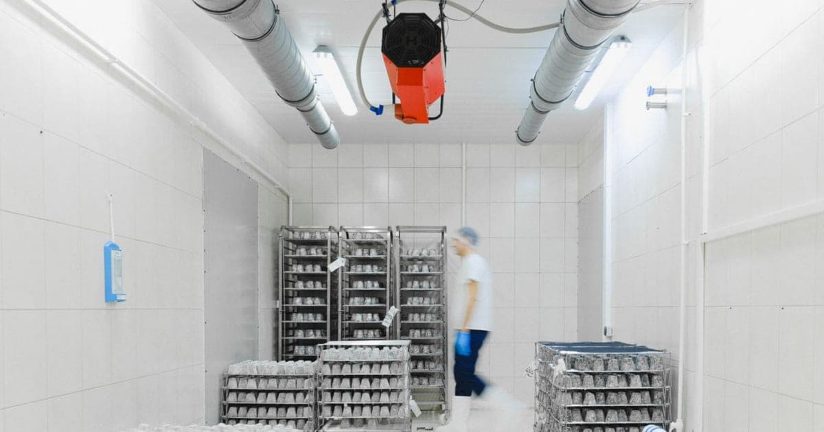 Interior de câmara fria industrial com produto estocado em prateleiras e sensor de temperatura instalado