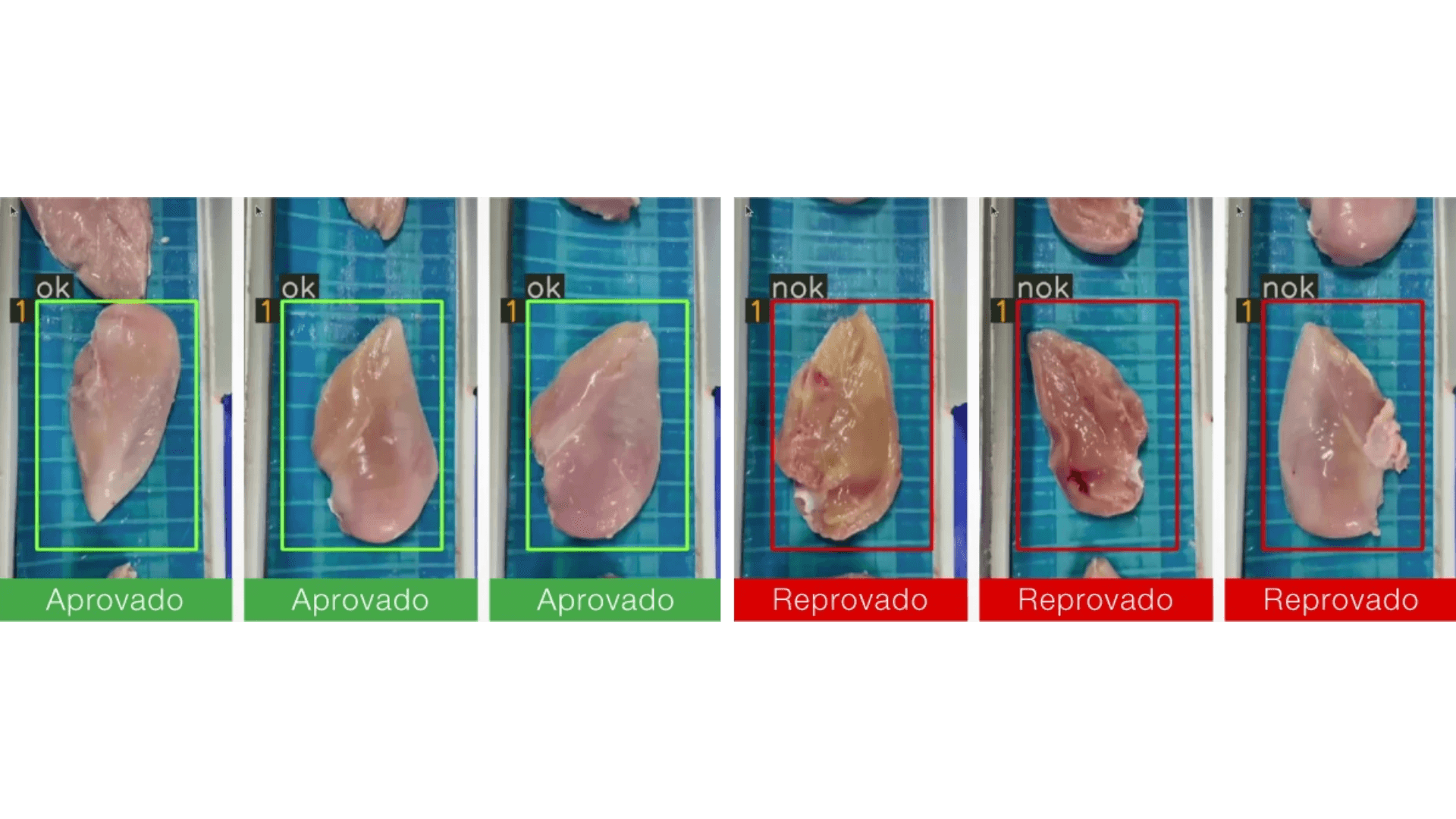 Inspeção de carne de frango por câmera na linha do frigorífico
