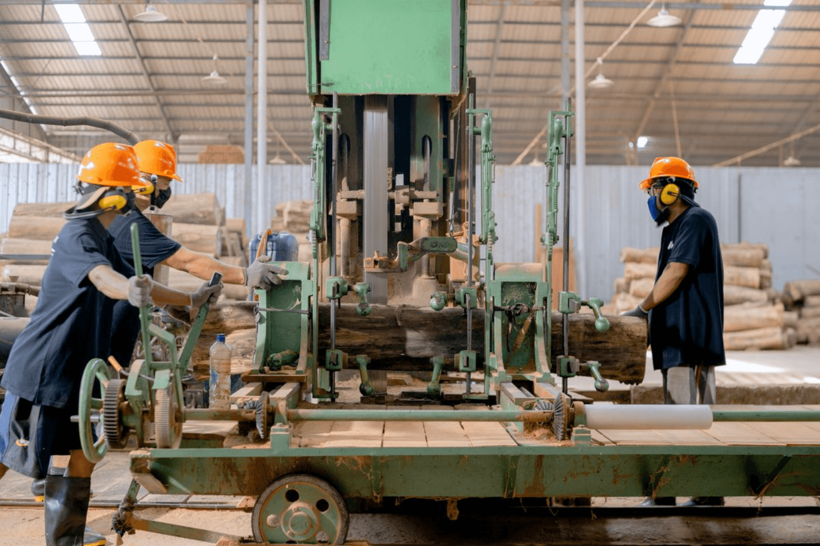 Serraria com band saw processando toras de madeira na linha