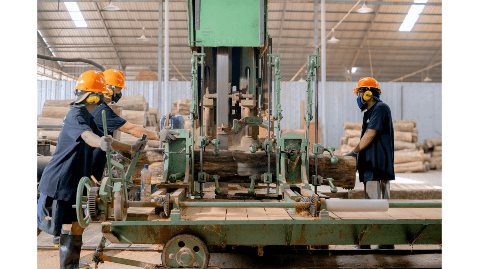 Serraria processando toras de madeira na linha de produção