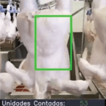 Quadro de um sistema de visão numa nória de abate: a carcaça em inspeção aparece cercada e o total de unidades contadas é escrito no rodapé.